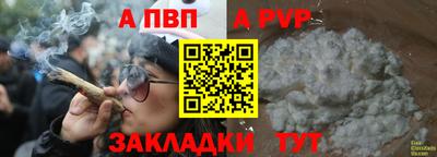 амф Гатчина