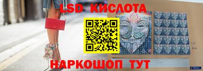 амф Гатчина