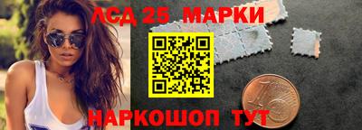 амф Гатчина