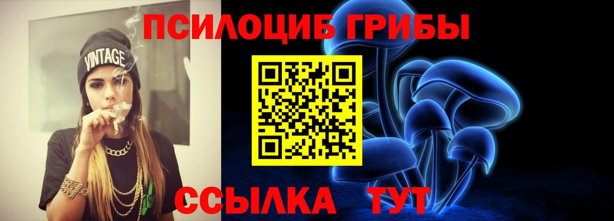 Галлюциногенные грибы Psilocybe Нефтеюганск